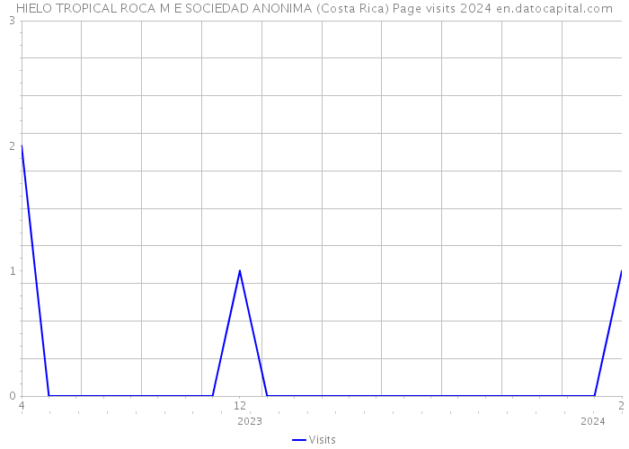 HIELO TROPICAL ROCA M E SOCIEDAD ANONIMA (Costa Rica) Page visits 2024 