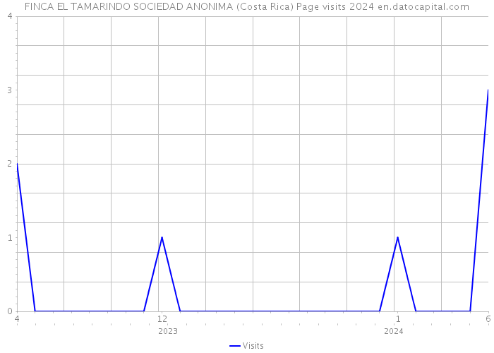 FINCA EL TAMARINDO SOCIEDAD ANONIMA (Costa Rica) Page visits 2024 
