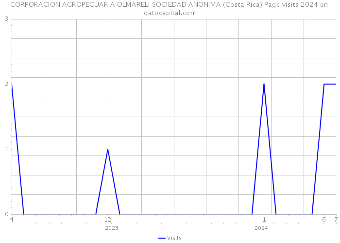 CORPORACION AGROPECUARIA OLMARELI SOCIEDAD ANONIMA (Costa Rica) Page visits 2024 