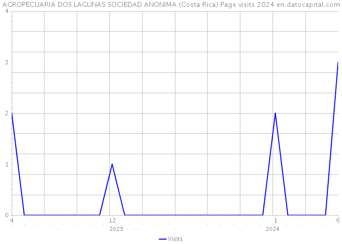 AGROPECUARIA DOS LAGUNAS SOCIEDAD ANONIMA (Costa Rica) Page visits 2024 
