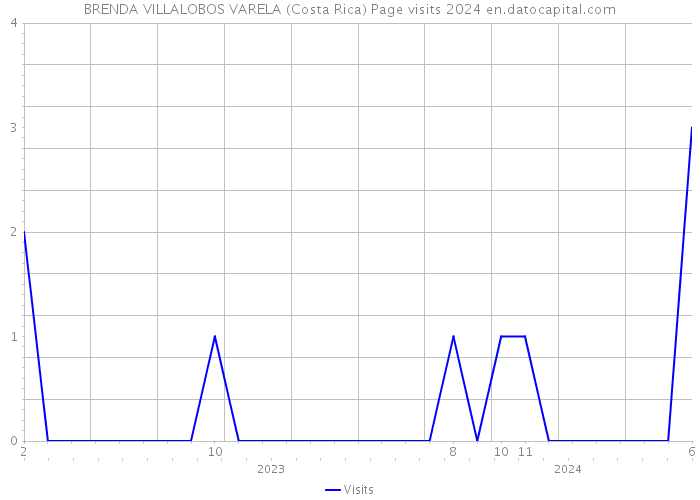 BRENDA VILLALOBOS VARELA (Costa Rica) Page visits 2024 