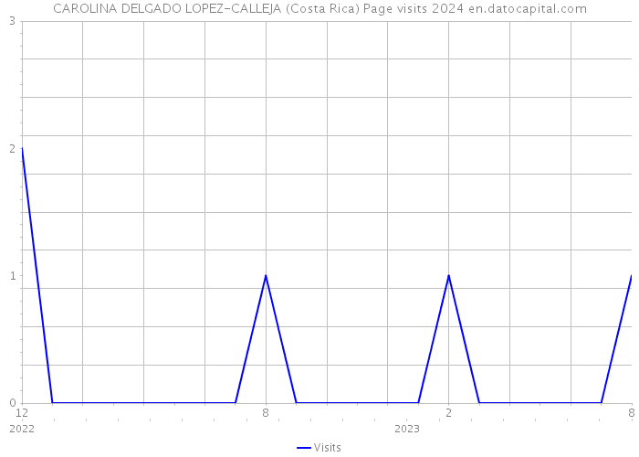 CAROLINA DELGADO LOPEZ-CALLEJA (Costa Rica) Page visits 2024 