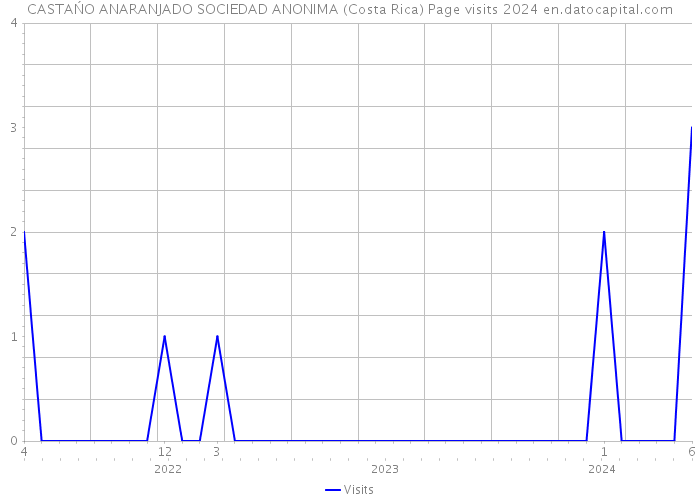 CASTAŃO ANARANJADO SOCIEDAD ANONIMA (Costa Rica) Page visits 2024 
