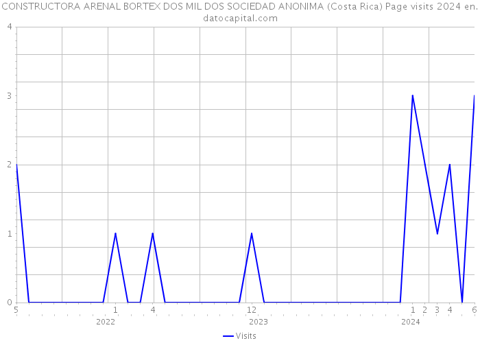 CONSTRUCTORA ARENAL BORTEX DOS MIL DOS SOCIEDAD ANONIMA (Costa Rica) Page visits 2024 