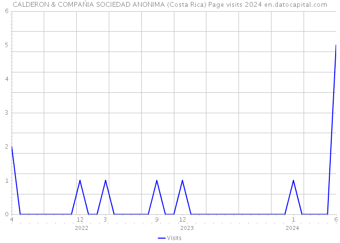 CALDERON & COMPAŃIA SOCIEDAD ANONIMA (Costa Rica) Page visits 2024 