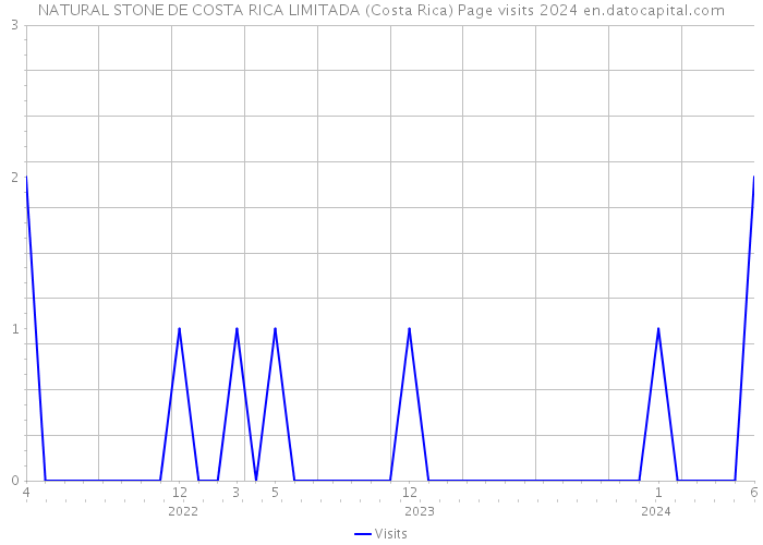 NATURAL STONE DE COSTA RICA LIMITADA (Costa Rica) Page visits 2024 
