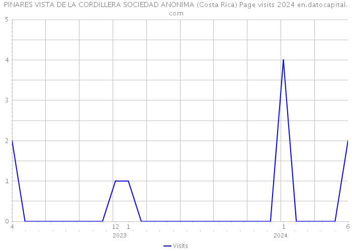 PINARES VISTA DE LA CORDILLERA SOCIEDAD ANONIMA (Costa Rica) Page visits 2024 