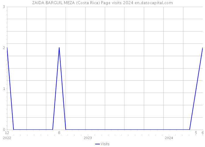 ZAIDA BARGUIL MEZA (Costa Rica) Page visits 2024 