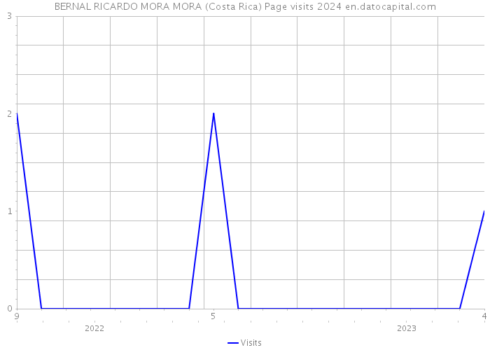 BERNAL RICARDO MORA MORA (Costa Rica) Page visits 2024 