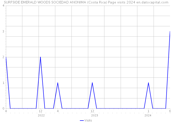 SURFSIDE EMERALD WOODS SOCIEDAD ANONIMA (Costa Rica) Page visits 2024 