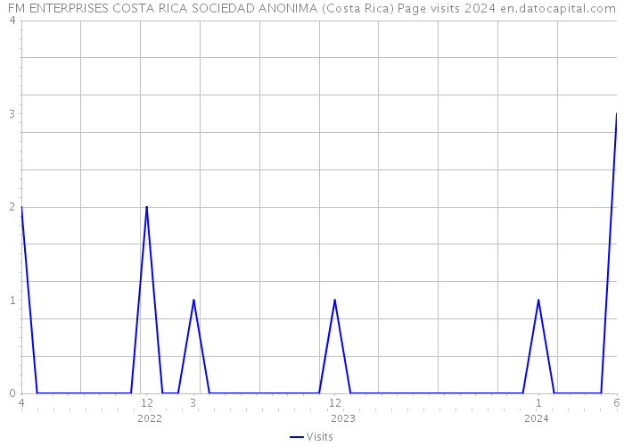 FM ENTERPRISES COSTA RICA SOCIEDAD ANONIMA (Costa Rica) Page visits 2024 