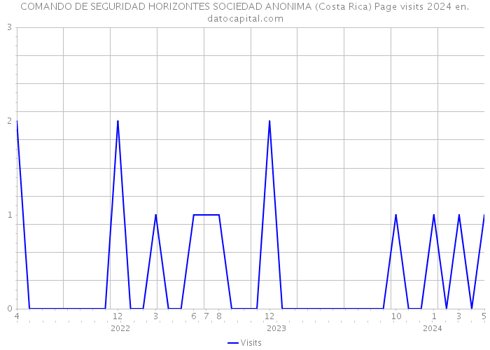 COMANDO DE SEGURIDAD HORIZONTES SOCIEDAD ANONIMA (Costa Rica) Page visits 2024 