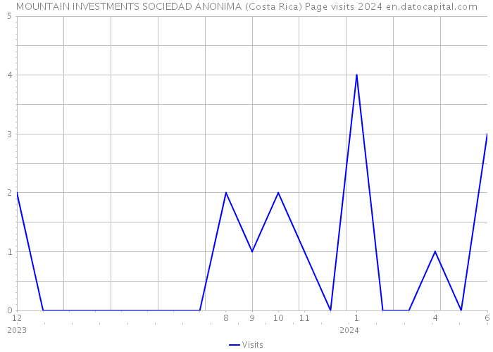 MOUNTAIN INVESTMENTS SOCIEDAD ANONIMA (Costa Rica) Page visits 2024 