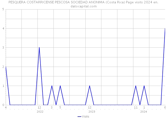 PESQUERA COSTARRICENSE PESCOSA SOCIEDAD ANONIMA (Costa Rica) Page visits 2024 