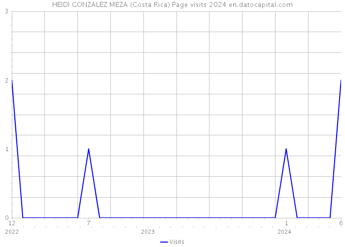 HEIDI GONZALEZ MEZA (Costa Rica) Page visits 2024 