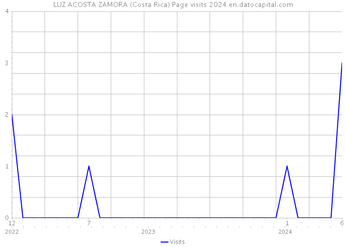 LUZ ACOSTA ZAMORA (Costa Rica) Page visits 2024 
