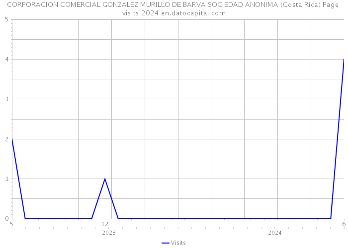 CORPORACION COMERCIAL GONZALEZ MURILLO DE BARVA SOCIEDAD ANONIMA (Costa Rica) Page visits 2024 