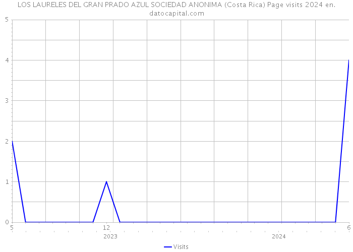 LOS LAURELES DEL GRAN PRADO AZUL SOCIEDAD ANONIMA (Costa Rica) Page visits 2024 