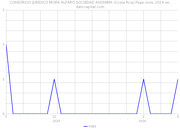 CONSORCIO JURIDICO MORA ALFARO SOCIEDAD ANONIMA (Costa Rica) Page visits 2024 
