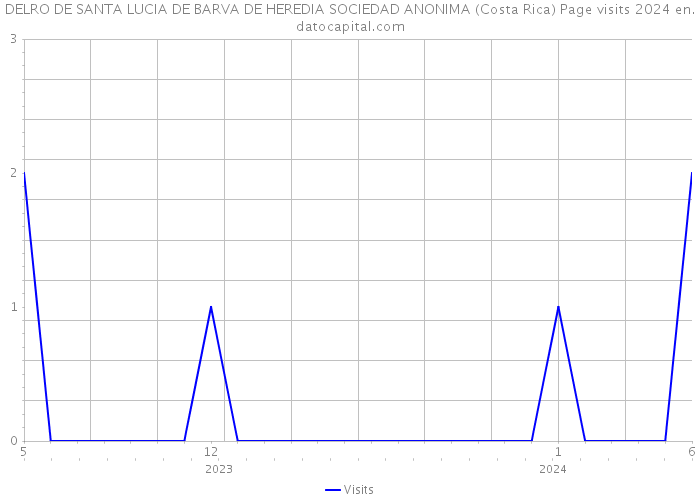 DELRO DE SANTA LUCIA DE BARVA DE HEREDIA SOCIEDAD ANONIMA (Costa Rica) Page visits 2024 
