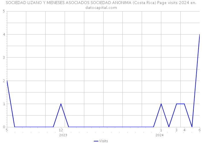 SOCIEDAD LIZANO Y MENESES ASOCIADOS SOCIEDAD ANONIMA (Costa Rica) Page visits 2024 