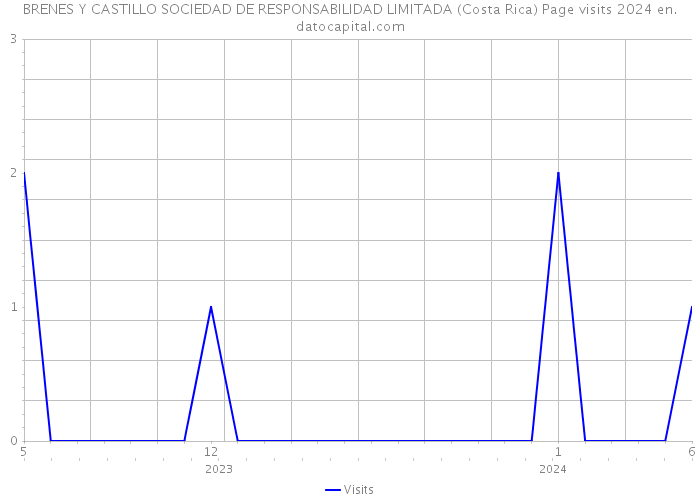 BRENES Y CASTILLO SOCIEDAD DE RESPONSABILIDAD LIMITADA (Costa Rica) Page visits 2024 