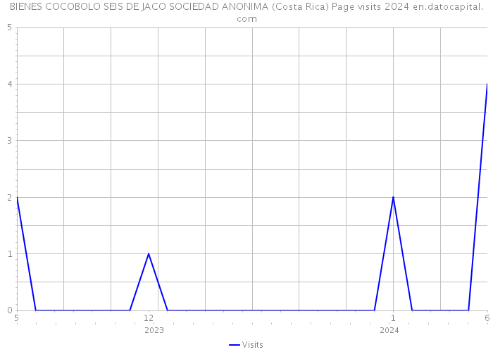 BIENES COCOBOLO SEIS DE JACO SOCIEDAD ANONIMA (Costa Rica) Page visits 2024 