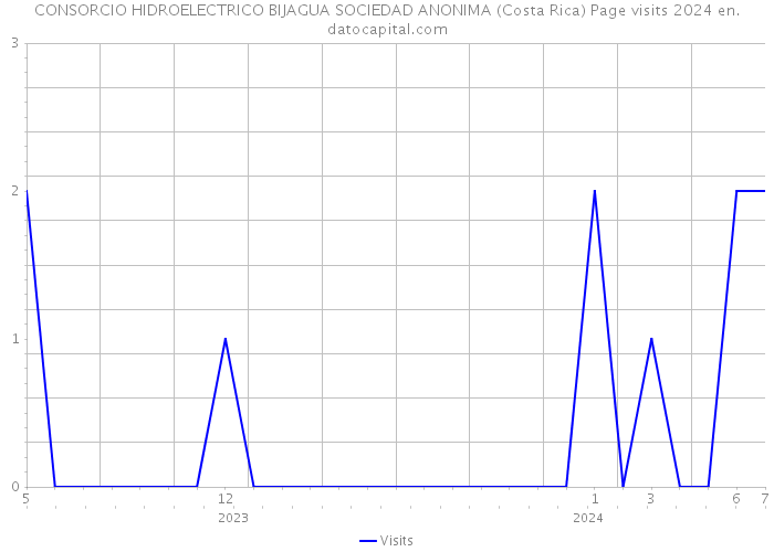 CONSORCIO HIDROELECTRICO BIJAGUA SOCIEDAD ANONIMA (Costa Rica) Page visits 2024 