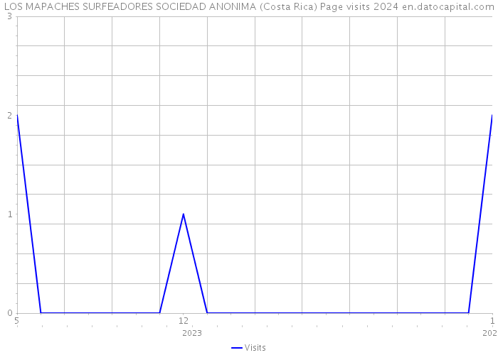 LOS MAPACHES SURFEADORES SOCIEDAD ANONIMA (Costa Rica) Page visits 2024 