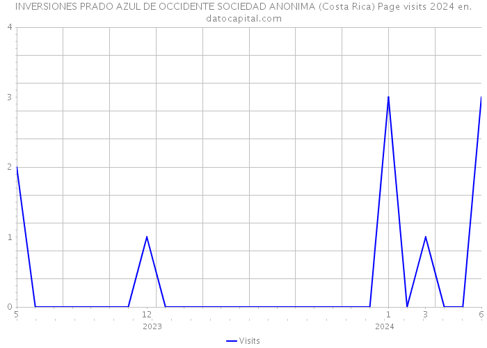 INVERSIONES PRADO AZUL DE OCCIDENTE SOCIEDAD ANONIMA (Costa Rica) Page visits 2024 