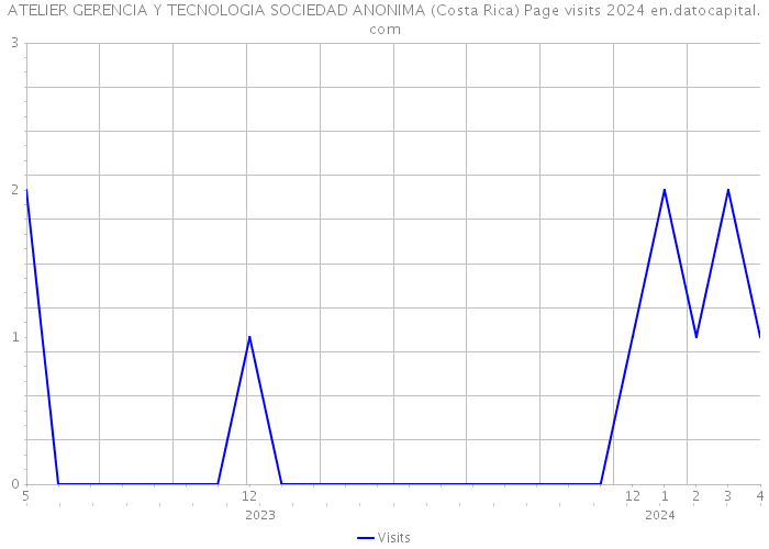 ATELIER GERENCIA Y TECNOLOGIA SOCIEDAD ANONIMA (Costa Rica) Page visits 2024 
