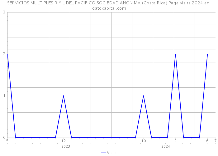SERVICIOS MULTIPLES R Y L DEL PACIFICO SOCIEDAD ANONIMA (Costa Rica) Page visits 2024 