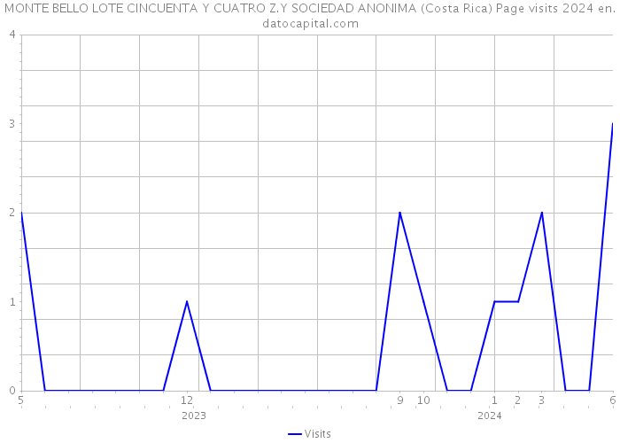 MONTE BELLO LOTE CINCUENTA Y CUATRO Z.Y SOCIEDAD ANONIMA (Costa Rica) Page visits 2024 