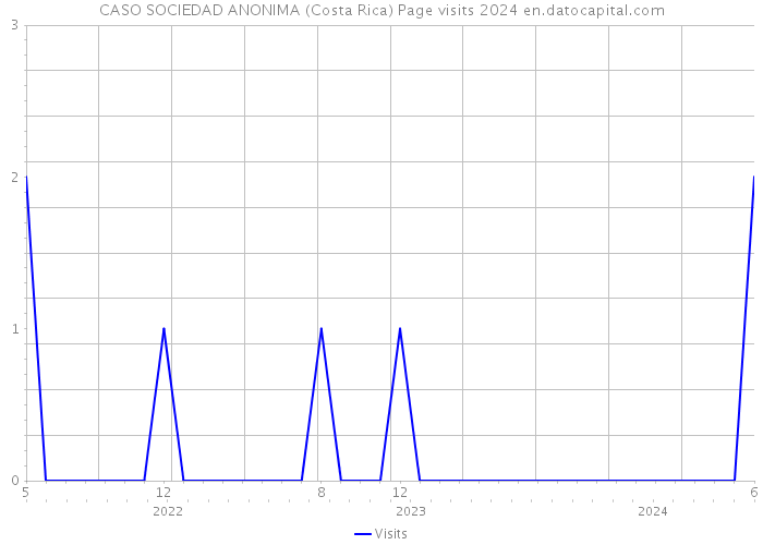 CASO SOCIEDAD ANONIMA (Costa Rica) Page visits 2024 