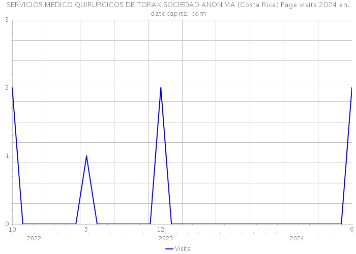 SERVICIOS MEDICO QUIRURGICOS DE TORAX SOCIEDAD ANONIMA (Costa Rica) Page visits 2024 