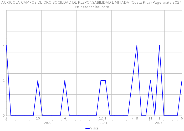 AGRICOLA CAMPOS DE ORO SOCIEDAD DE RESPONSABILIDAD LIMITADA (Costa Rica) Page visits 2024 