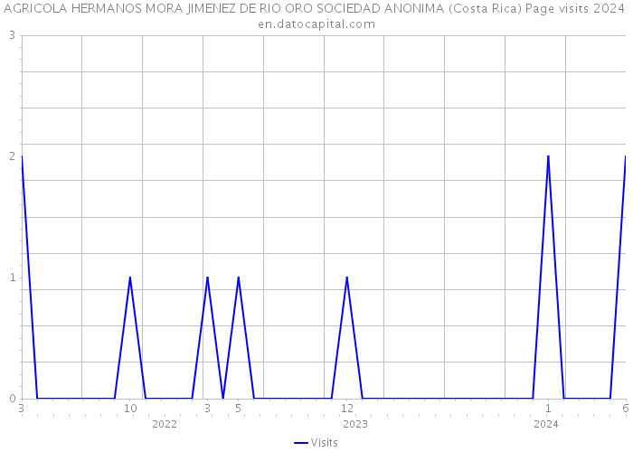 AGRICOLA HERMANOS MORA JIMENEZ DE RIO ORO SOCIEDAD ANONIMA (Costa Rica) Page visits 2024 