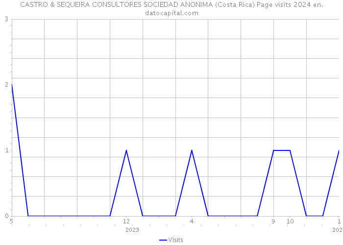 CASTRO & SEQUEIRA CONSULTORES SOCIEDAD ANONIMA (Costa Rica) Page visits 2024 