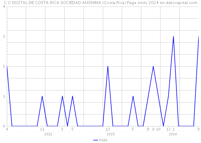 C C DIGITAL DE COSTA RICA SOCIEDAD ANONIMA (Costa Rica) Page visits 2024 