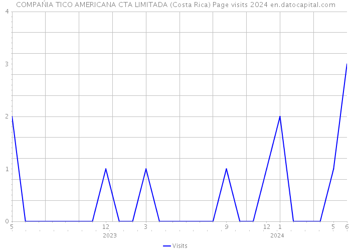 COMPAŃIA TICO AMERICANA CTA LIMITADA (Costa Rica) Page visits 2024 