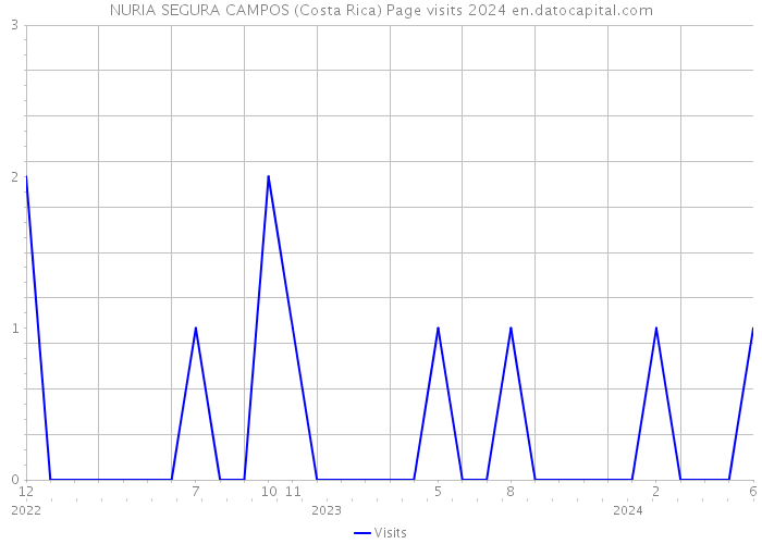 NURIA SEGURA CAMPOS (Costa Rica) Page visits 2024 