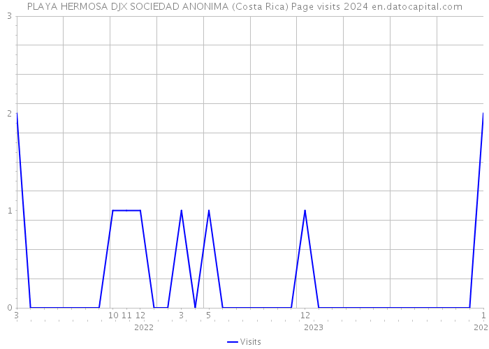 PLAYA HERMOSA DJX SOCIEDAD ANONIMA (Costa Rica) Page visits 2024 