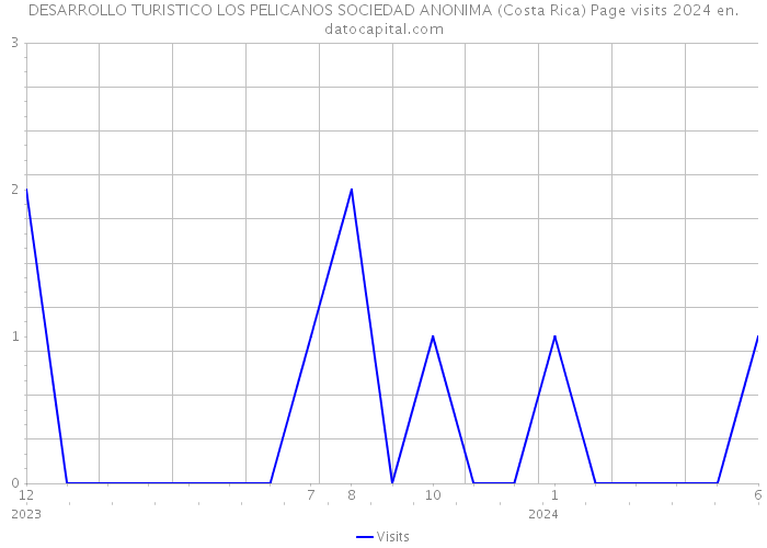 DESARROLLO TURISTICO LOS PELICANOS SOCIEDAD ANONIMA (Costa Rica) Page visits 2024 