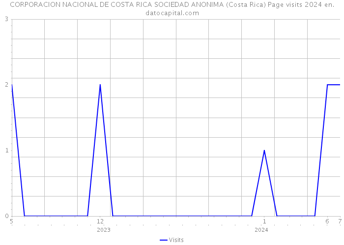 CORPORACION NACIONAL DE COSTA RICA SOCIEDAD ANONIMA (Costa Rica) Page visits 2024 