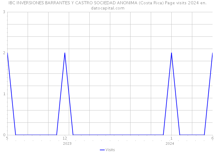 IBC INVERSIONES BARRANTES Y CASTRO SOCIEDAD ANONIMA (Costa Rica) Page visits 2024 