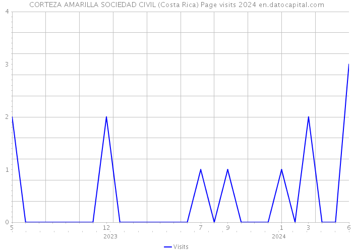 CORTEZA AMARILLA SOCIEDAD CIVIL (Costa Rica) Page visits 2024 