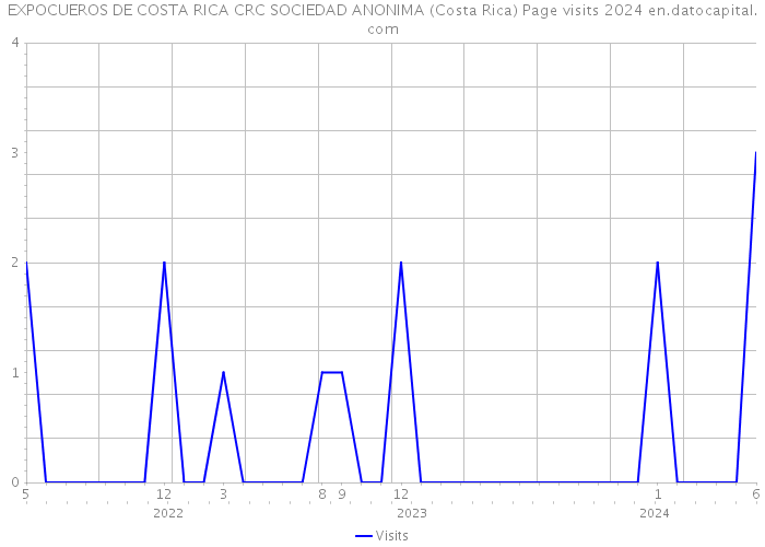 EXPOCUEROS DE COSTA RICA CRC SOCIEDAD ANONIMA (Costa Rica) Page visits 2024 