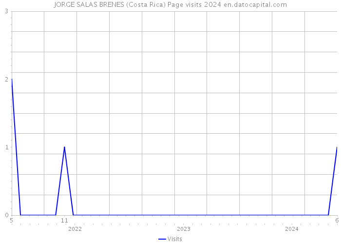 JORGE SALAS BRENES (Costa Rica) Page visits 2024 