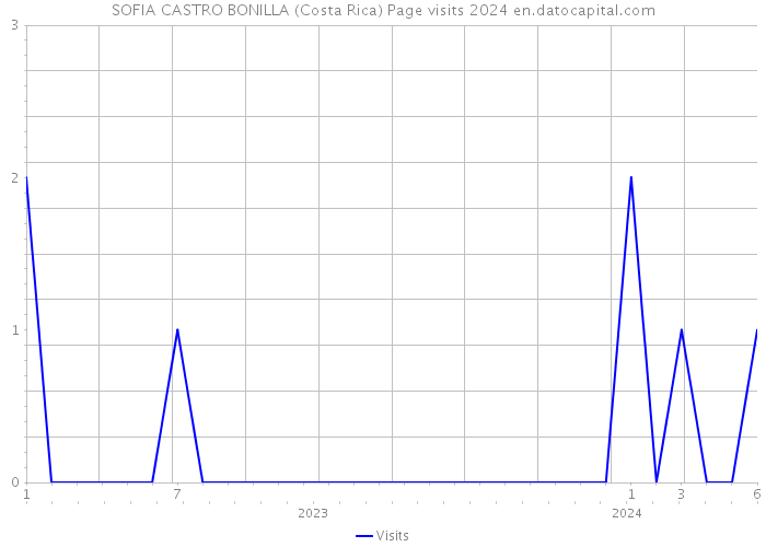 SOFIA CASTRO BONILLA (Costa Rica) Page visits 2024 