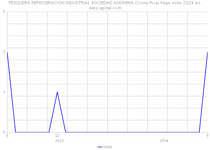 PESQUERA REFRIGERACION INDUSTRIAL SOCIEDAD ANONIMA (Costa Rica) Page visits 2024 